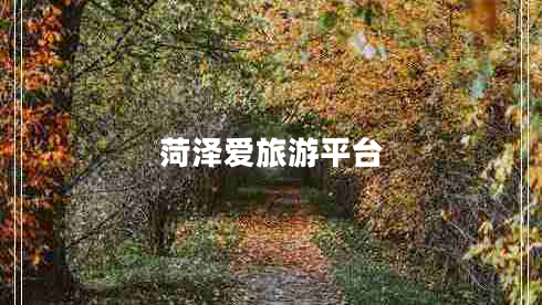 菏澤愛旅游平臺