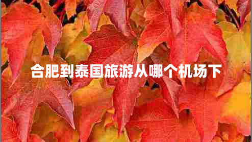 合肥到泰國(guó)旅游從哪個(gè)機(jī)場(chǎng)下