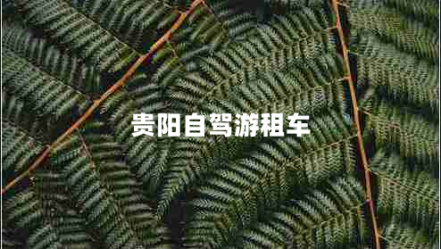 貴陽自駕游租車