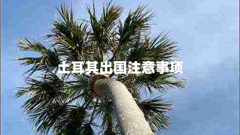 土耳其出國(guó)注意事項(xiàng)