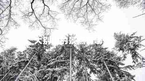 大別山的景點有哪些