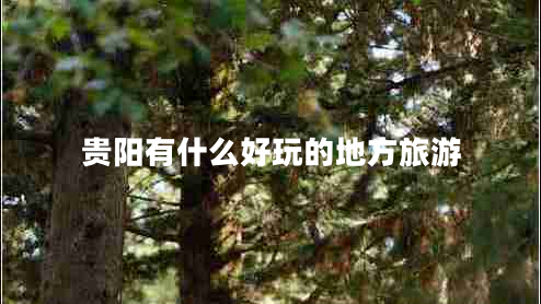 貴陽有什么好玩的地方旅游