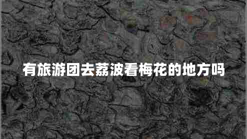 有旅游團(tuán)去荔波看梅花的地方嗎