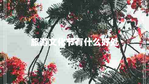 旅游文化節(jié)有什么好處