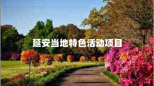 延安當(dāng)?shù)靥厣顒?dòng)項(xiàng)目