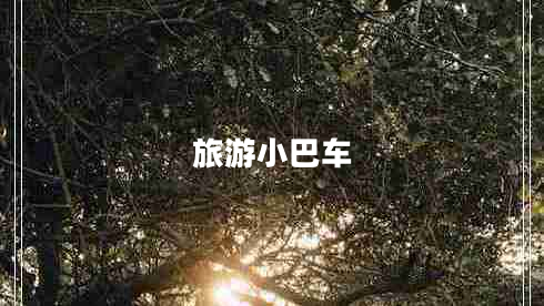 旅游小巴車