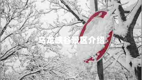 烏龍峽谷景區(qū)介紹