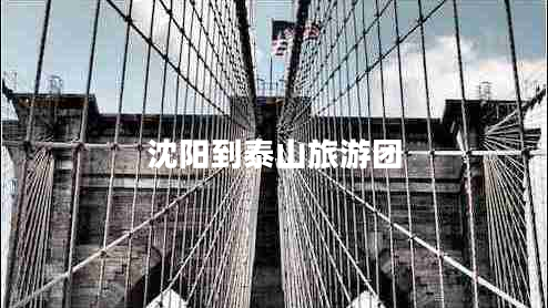 沈陽到泰山旅游團