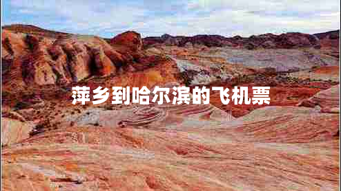 萍鄉(xiāng)到哈爾濱的飛機(jī)票