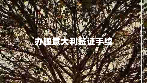 辦理意大利簽證手續(xù)