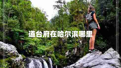 道臺(tái)府在哈爾濱哪里