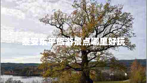 泰安東平旅游景點哪里好玩