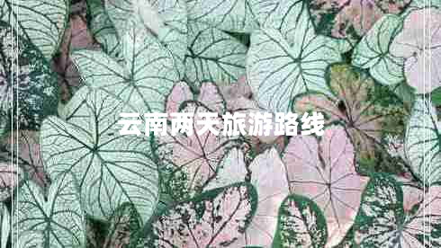 云南兩天旅游路線