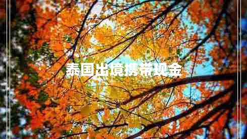 泰國出境攜帶現(xiàn)金