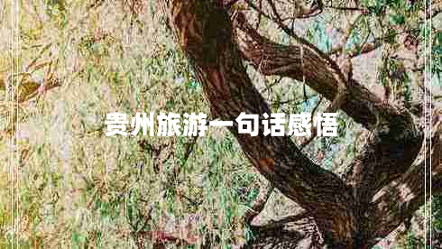 貴州旅游一句話感悟