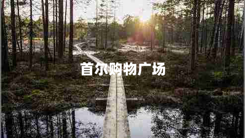首爾購物廣場