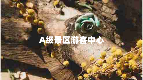 A級景區(qū)游客中心