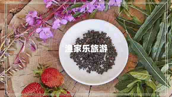 漁家樂旅游