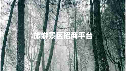 旅游景區(qū)招商平臺