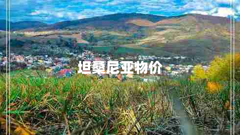 坦桑尼亞物價