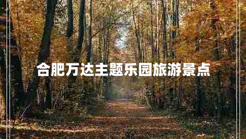 合肥萬達(dá)主題樂園旅游景點(diǎn)