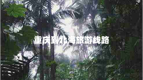 重慶到北海旅游線路