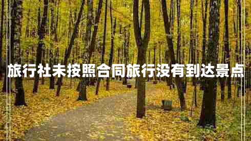旅行社未按照合同旅行沒有到達(dá)景點(diǎn)