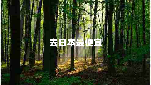 去日本最便宜