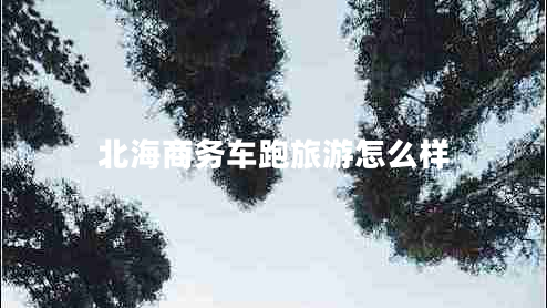 北海商務車跑旅游怎么樣