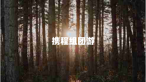 攜程組團(tuán)游