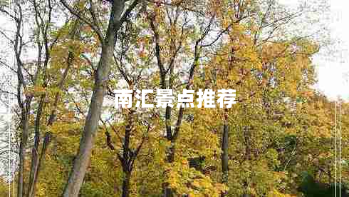 南匯景點推薦