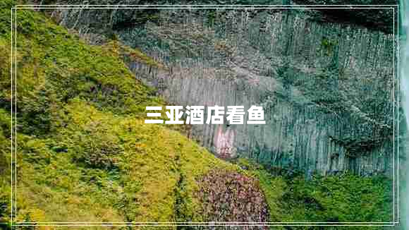 三亞酒店看魚