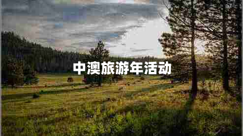 中澳旅游年活動