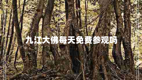 九江大佛每天免費參觀嗎
