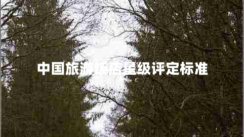 中國(guó)旅游飯店星級(jí)評(píng)定標(biāo)準(zhǔn)