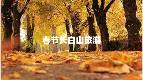 春節(jié)長白山旅游