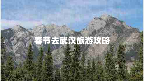 春節(jié)去武漢旅游攻略
