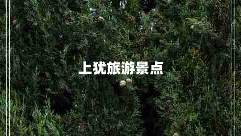上猶旅游景點