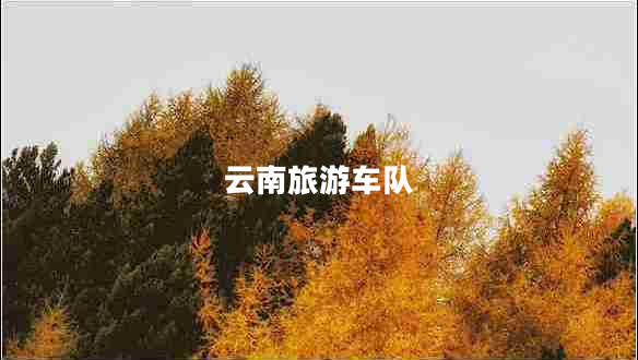 云南旅游車隊