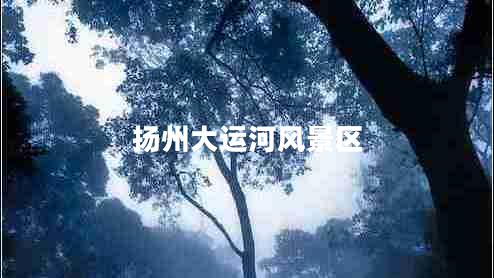 揚州大運河風景區(qū)