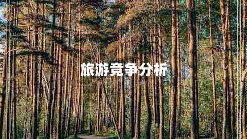 旅游競(jìng)爭(zhēng)分析