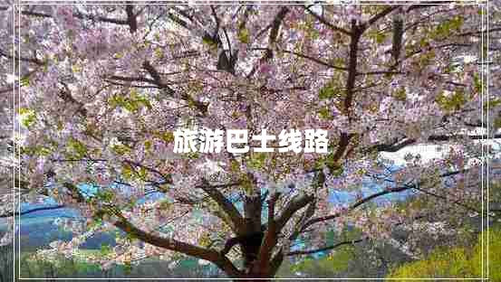 旅游巴士線路