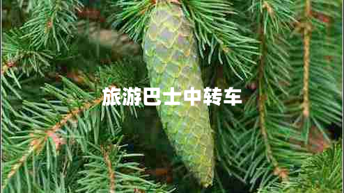 旅游巴士中轉車