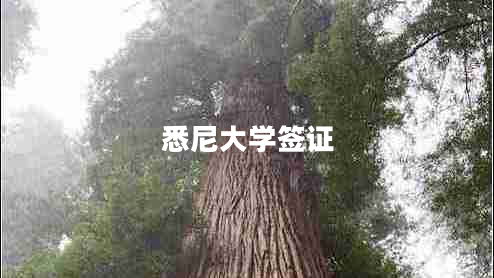 悉尼大學簽證