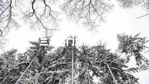 三亞熱門旅游景點