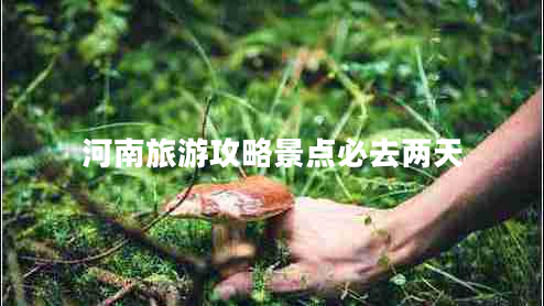 河南旅游攻略景點必去兩天