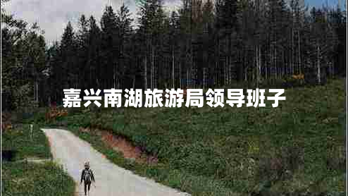 嘉興南湖旅游局領導班子