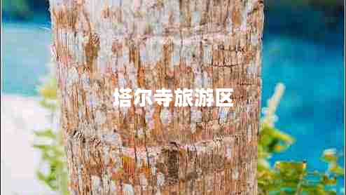 塔爾寺旅游區(qū)