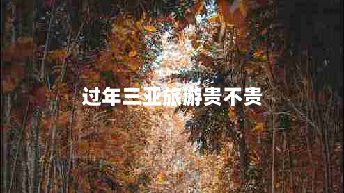 過年三亞旅游貴不貴
