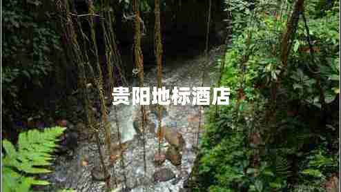 貴陽(yáng)地標(biāo)酒店